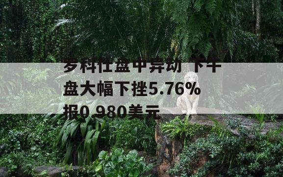 罗科仕盘中异动 下午盘大幅下挫5.76%报0.980美元