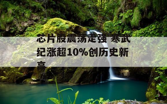 芯片股震荡走强 寒武纪涨超10%创历史新高